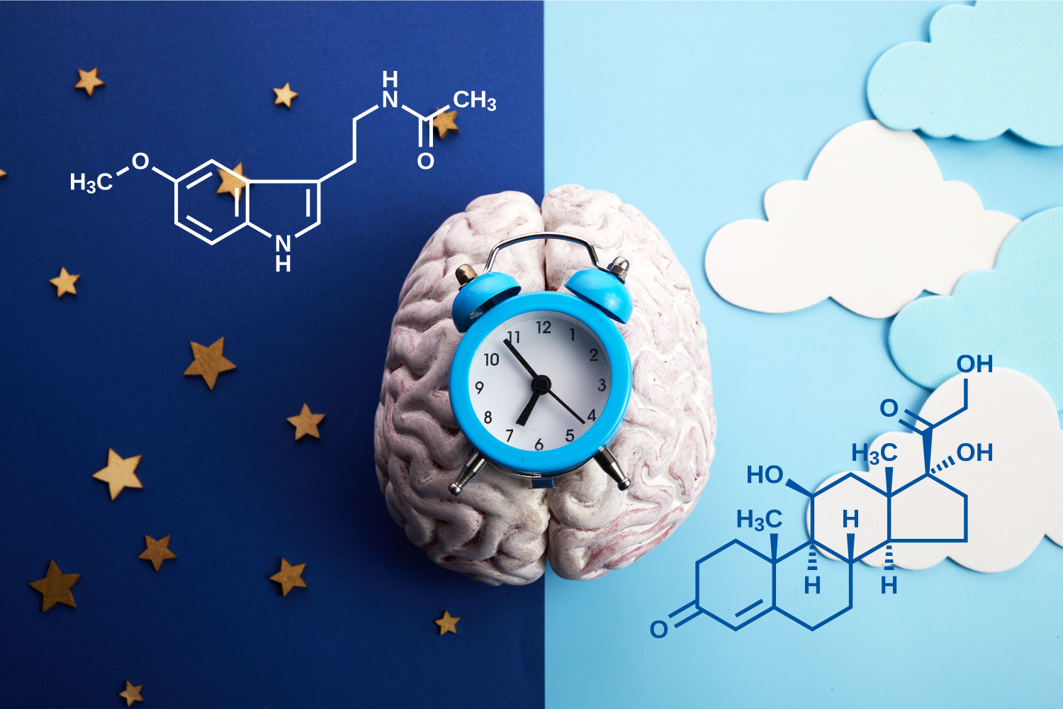 An image showing a brain and clock with night and day on each side